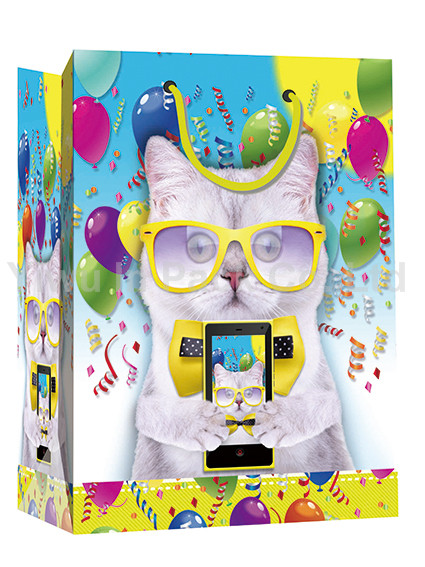 BIRTHDAY BAG