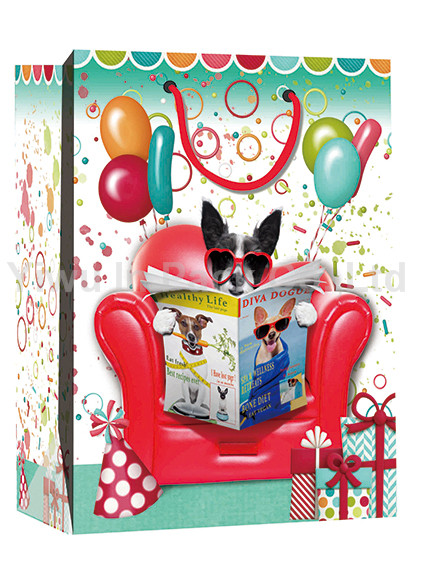 BIRTHDAY BAG