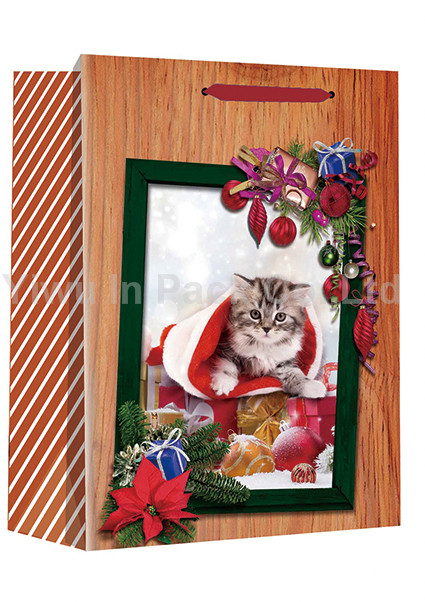 CHRISTMAS BAG