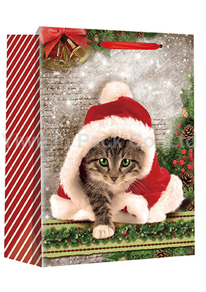 CHRISTMAS BAG