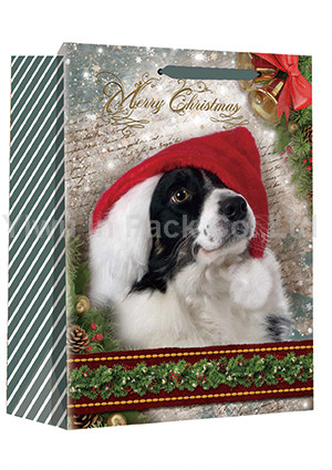 CHRISTMAS BAG