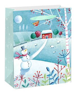 CHRISTMAS BAG