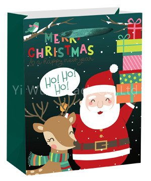 CHRISTMAS BAG