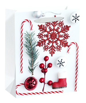 CHRISTMAS BAG