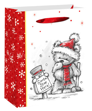 CHRISTMAS BAG