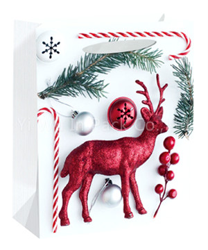 CHRISTMAS BAG