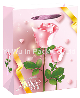 MOTHER BAG