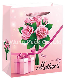 MOTHER BAG