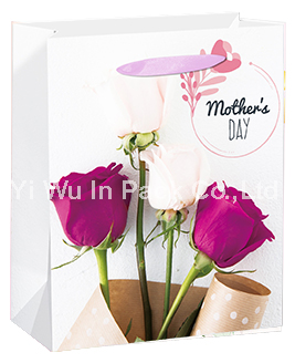 MOTHER BAG