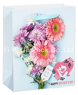 MOTHER BAG