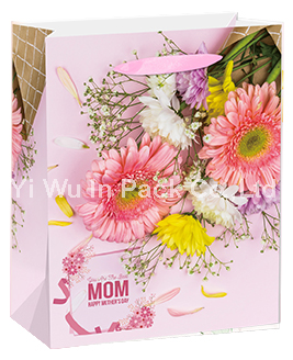 MOTHER BAG