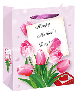 MOTHER BAG