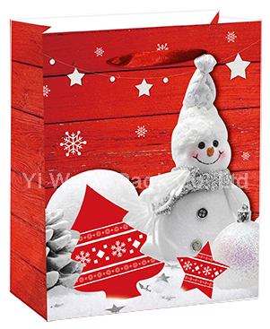 CHRISTMAS BAG
