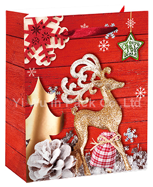 CHRISTMAS BAG