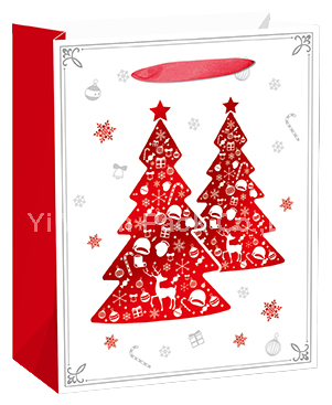 CHRISTMAS BAG