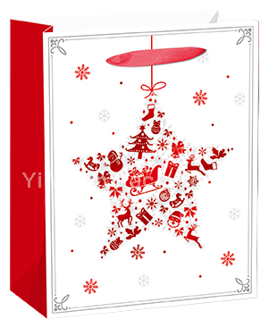 CHRISTMAS BAG