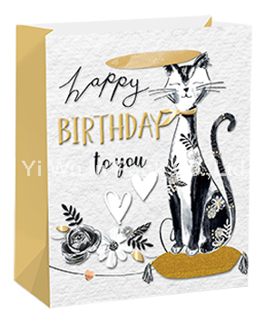 BIRTHDAY BAG