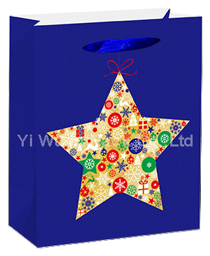 CHRISTMAS BAG
