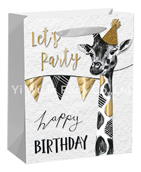 BIRTHDAY BAG