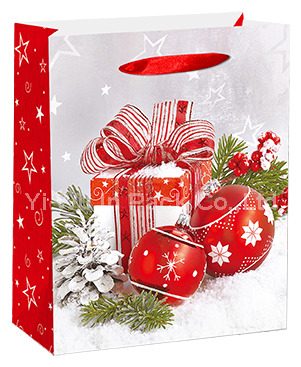 CHRISTMAS BAG