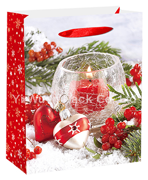 CHRISTMAS BAG