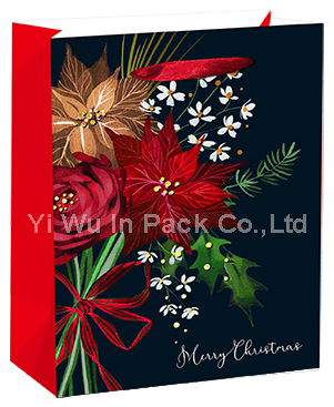 CHRISTMAS BAG