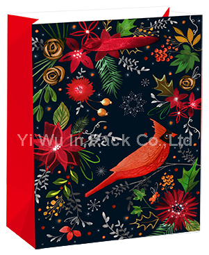 CHRISTMAS BAG