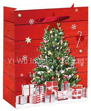 CHRISTMAS BAG